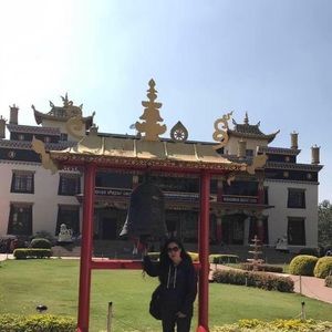 Meet your Posher, Pema